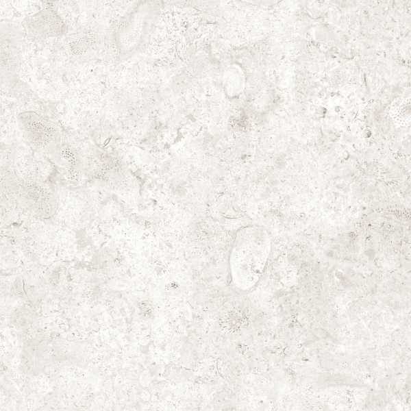 Coralina_Perla_Large_Coverlam_Tile_Exeter