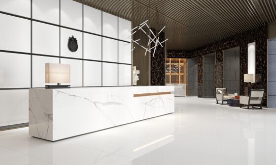 Space white Glazed Porcelain W&F