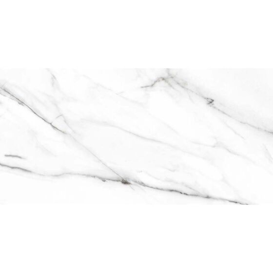 Aldoff Matt Ceramic Wall 300x600mm
